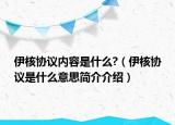 伊核協(xié)議內(nèi)容是什么?（伊核協(xié)議是什么意思簡介介紹）