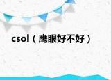 csol（鷹眼好不好）