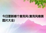 今日更新哪個麥克風(fēng)(麥克風(fēng)唯美圖片大全)