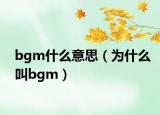 bgm什么意思（為什么叫bgm）