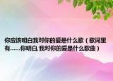 你應該明白我對你的愛是什么歌（歌詞里有......你明白,我對你的愛是什么歌曲）