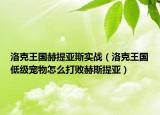 洛克王國赫提亞斯實戰(zhàn)（洛克王國低級寵物怎么打敗赫斯提亞）