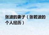 張波的妻子（張若波的個(gè)人經(jīng)歷）