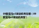 09款寶馬x5發(fā)動機號在哪（09款寶馬x5發(fā)動機類型）
