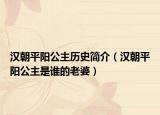 漢朝平陽(yáng)公主歷史簡(jiǎn)介（漢朝平陽(yáng)公主是誰(shuí)的老婆）