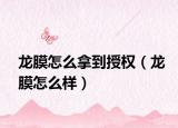 龍膜怎么拿到授權(quán)（龍膜怎么樣）