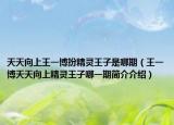 天天向上王一博扮精靈王子是哪期（王一博天天向上精靈王子哪一期簡(jiǎn)介介紹）