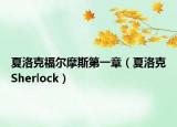 夏洛克福爾摩斯第一章（夏洛克Sherlock）