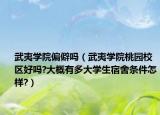 武夷學(xué)院偏僻嗎（武夷學(xué)院桃園校區(qū)好嗎?大概有多大學(xué)生宿舍條件怎樣?）