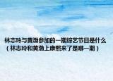 林志玲與黃渤參加的一期綜藝節(jié)目是什么（林志玲和黃渤上康熙來了是哪一期）