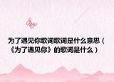 為了遇見你歌詞歌詞是什么意思（《為了遇見你》的歌詞是什么）