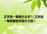 王字加一筆有什么字?（王字加一筆有哪些字簡(jiǎn)介介紹）