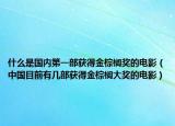 什么是國內(nèi)第一部獲得金棕櫚獎(jiǎng)的電影（中國目前有幾部獲得金棕櫚大獎(jiǎng)的電影）