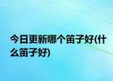 今日更新哪個笛子好(什么笛子好)