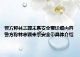 警方稱林志穎未系安全帶詳細內容 警方稱林志穎未系安全帶具體介紹