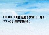 ?? ?? ?? 的用法（求教「…をしている」具體的用法）