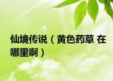 仙境傳說（黃色藥草 在哪里?。? /></span></a>
                        <h2><a href=