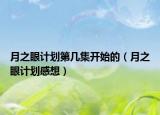 月之眼計劃第幾集開始的（月之眼計劃感想）
