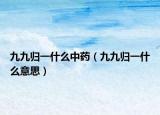 九九歸一什么中藥（九九歸一什么意思）