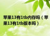 蘋果13有1tb內(nèi)存嗎（蘋果13有1tb版本嗎）