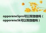 opporeno5pro可以雙微信嗎（opporeno5k可以雙微信嗎）