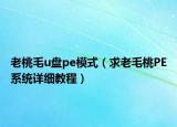 老桃毛u盤pe模式（求老毛桃PE系統(tǒng)詳細(xì)教程）