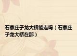 石家莊子龍大橋能走嗎（石家莊子龍大橋在那）