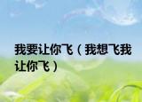 我要讓你飛（我想飛我讓你飛）