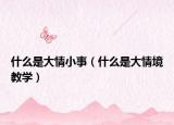 什么是大情小事（什么是大情境教學）