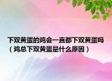 下雙黃蛋的雞會(huì)一直都下雙黃蛋嗎（雞總下雙黃蛋是什么原因）