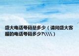 盛大電話號碼是多少（請問盛大客服的電話號碼多少?\\）