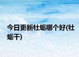 今日更新牡蠣哪個(gè)好(牡蠣干)