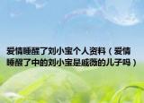 愛情睡醒了劉小寶個人資料（愛情睡醒了中的劉小寶是戚薇的兒子嗎）