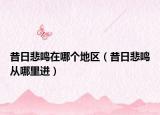 昔日悲鳴在哪個地區(qū)（昔日悲鳴從哪里進）