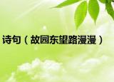 詩句（故園東望路漫漫）