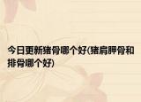 今日更新豬骨哪個好(豬肩胛骨和排骨哪個好)