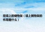 掛墻上的儲物架（墻上擱物架的作用是什么）