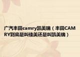 廣汽豐田camry凱美瑞（豐田CAMRY到底是叫佳美還是叫凱美瑞）