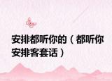 安排都聽你的（都聽你安排客套話）