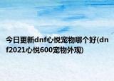 今日更新dnf心悅寵物哪個好(dnf2021心悅600寵物外觀)