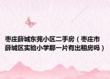 棗莊薛城東苑小區(qū)二手房（棗莊市薛城區(qū)實驗小學(xué)那一片有出租房嗎）