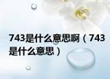 743是什么意思?。?43是什么意思）