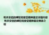 槍殺安倍的嫌犯將接受精神鑒定詳細(xì)內(nèi)容 槍殺安倍的嫌犯將接受精神鑒定具體介紹