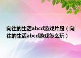 向往的生活abcd游戲片段（向往的生活abcd游戲怎么玩）