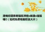 濡備綍鍏嶈垂瑙傜湅嬈х編澶х墖瑙嗛（如何免費(fèi)觀看歐美大片）
