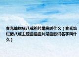 春光燦爛豬八戒的片尾曲叫什么（春光燦爛豬八戒主題曲插曲片尾曲歌詞名字叫什么）