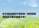 終于明白愛回不來歌詞（有首歌歌詞是終于看開愛回不來）
