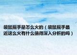 袋鼠搖手是怎么火的（袋鼠搖手最近這么火有什么值得深入分析的嗎）