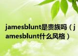 jamesblunt是貴族嗎（jamesblunt什么風格）