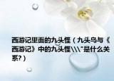 西游記里面的九頭怪（九頭鳥與《西游記》中的九頭怪\
